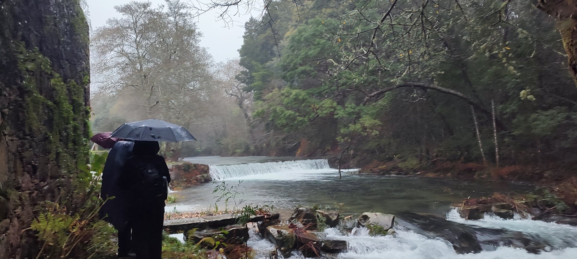 Foto 18 da atividade Galeria de Fotos