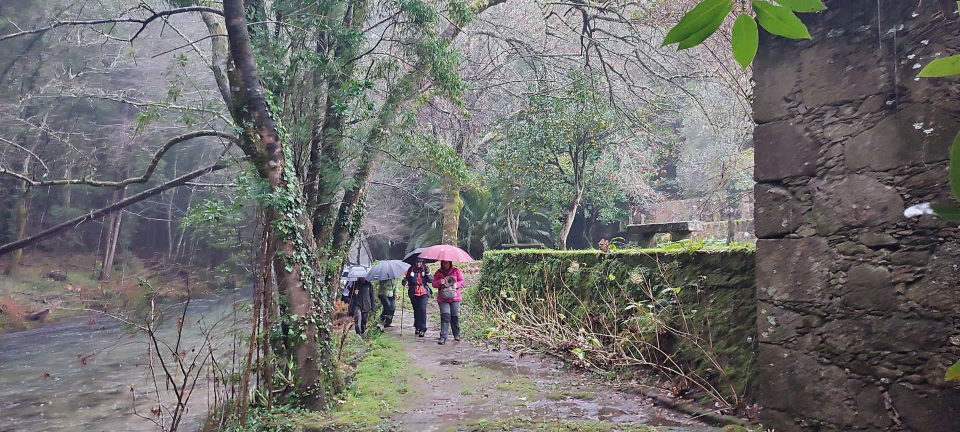 Foto 17 da atividade Galeria de Fotos