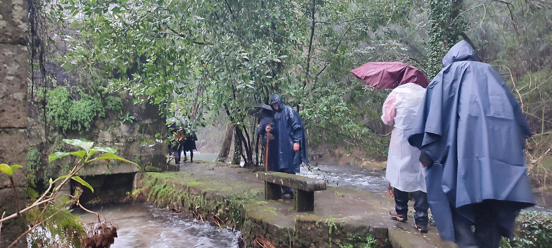 Foto 16 da atividade Galeria de Fotos