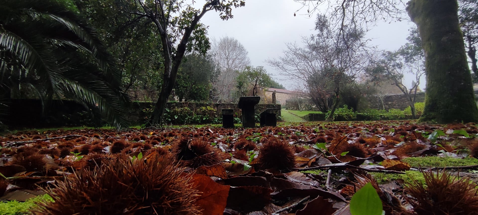 Foto 14 da atividade Galeria de Fotos