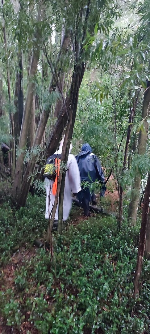 Foto 12 da atividade Galeria de Fotos