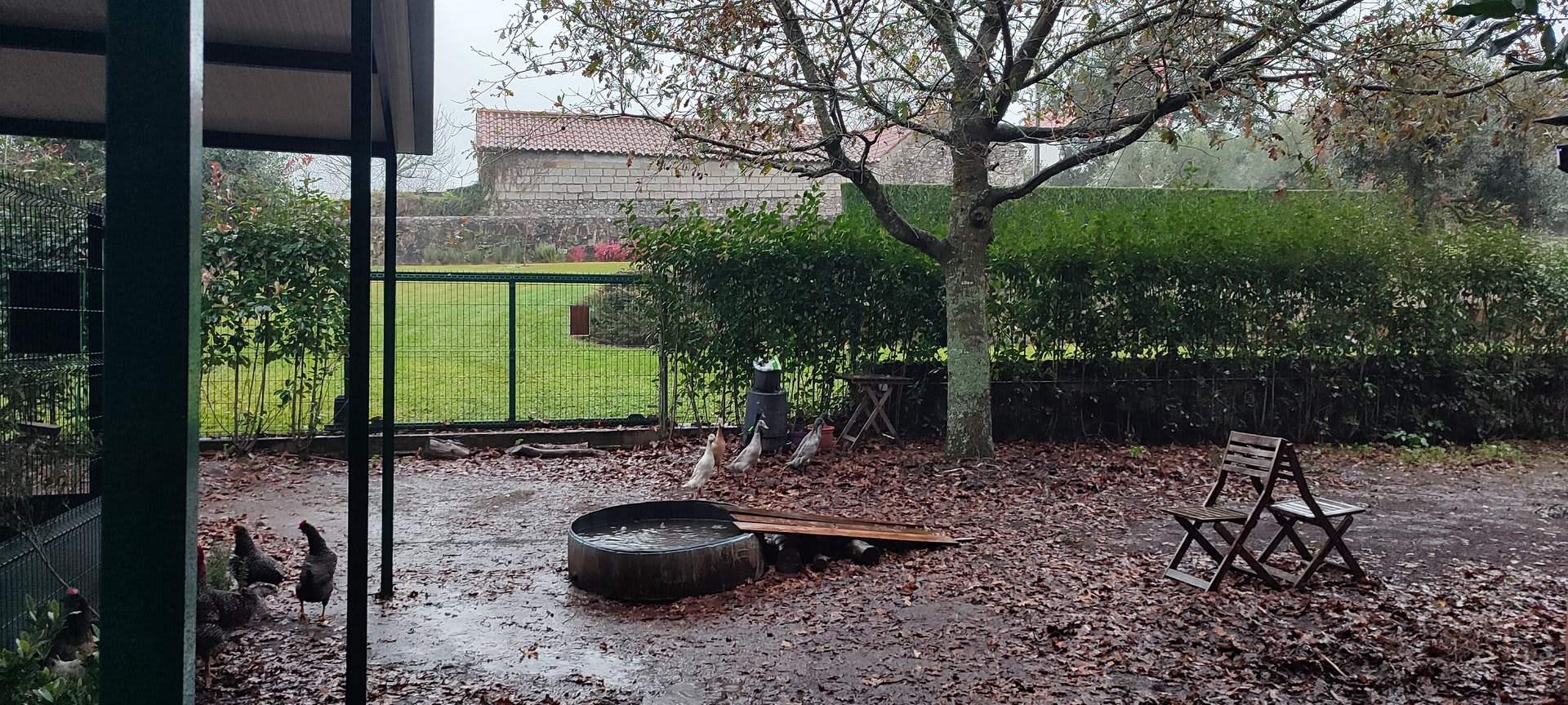 Foto 10 da atividade Galeria de Fotos