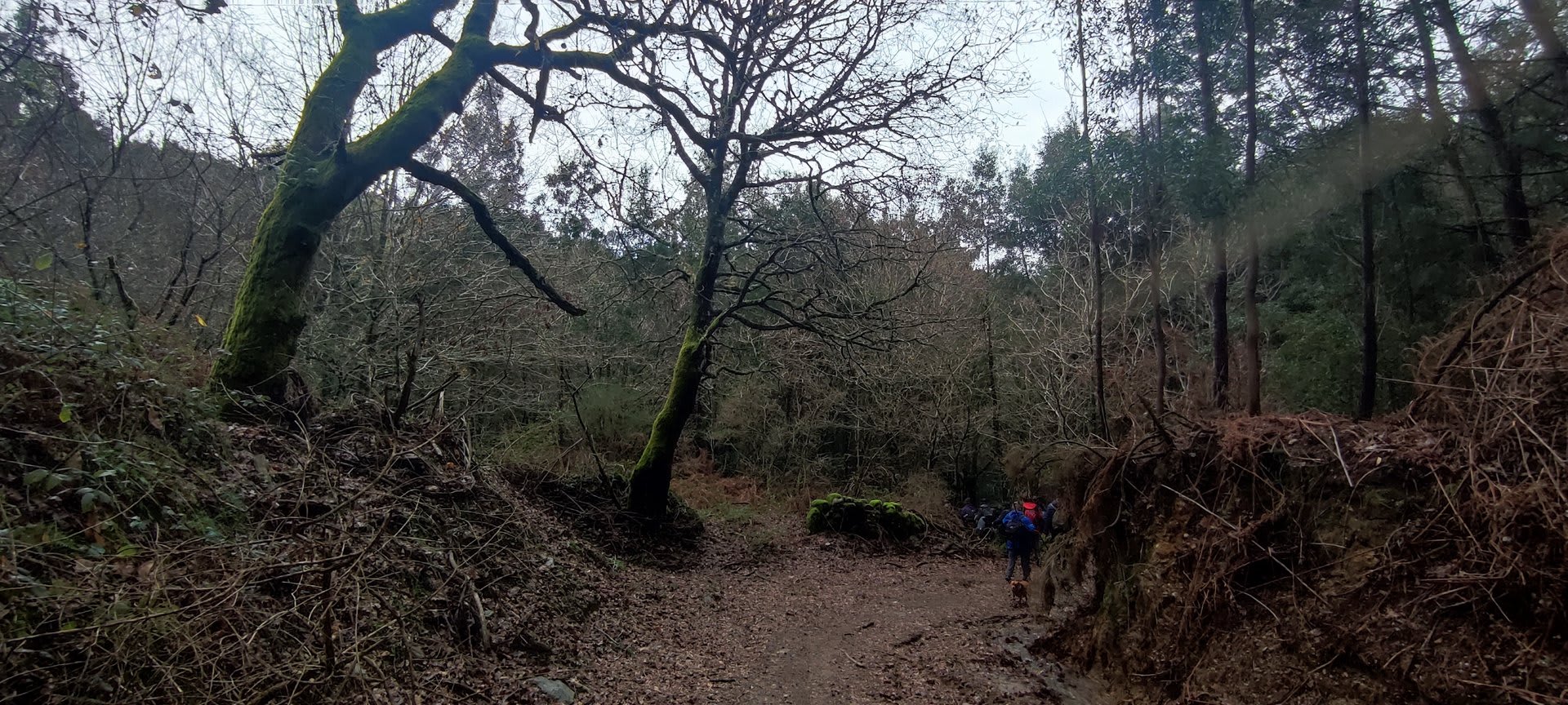 Foto 30 da atividade Galeria de Fotos