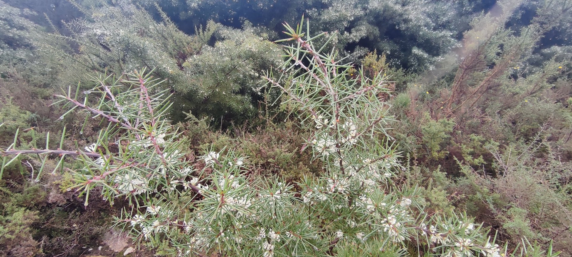 Foto 17 da atividade Galeria de Fotos