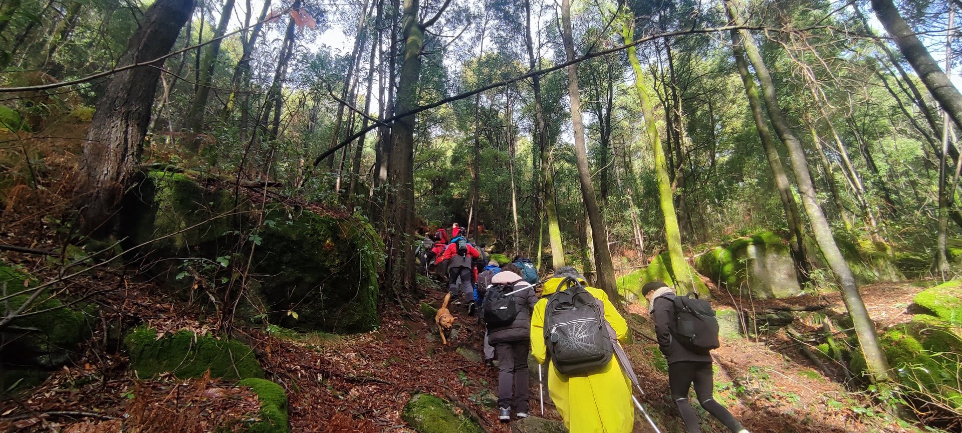 Foto 7 da atividade Galeria de Fotos