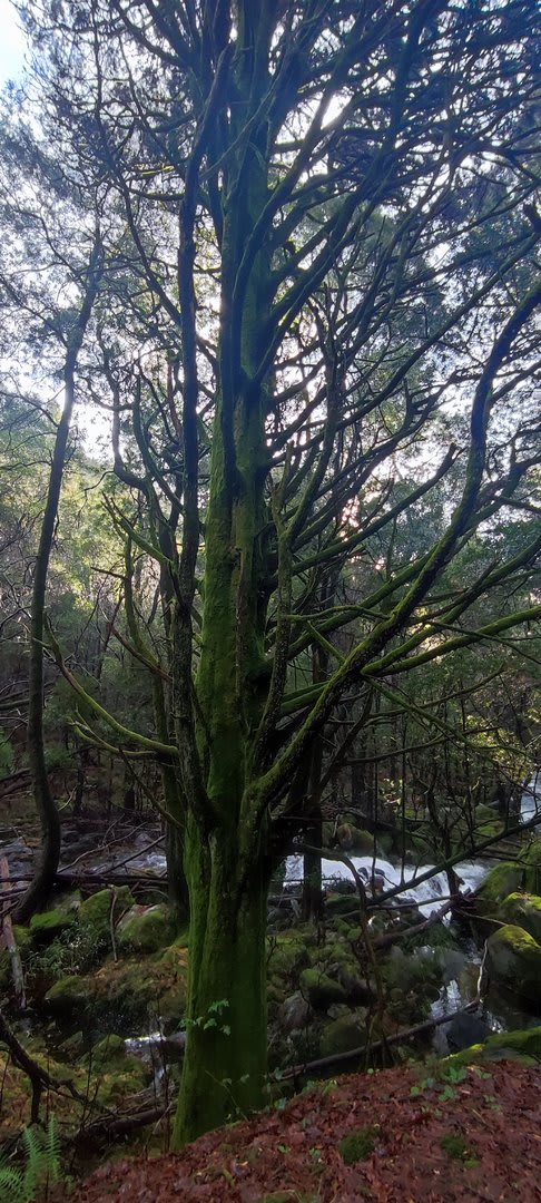 Foto 6 da atividade Galeria de Fotos