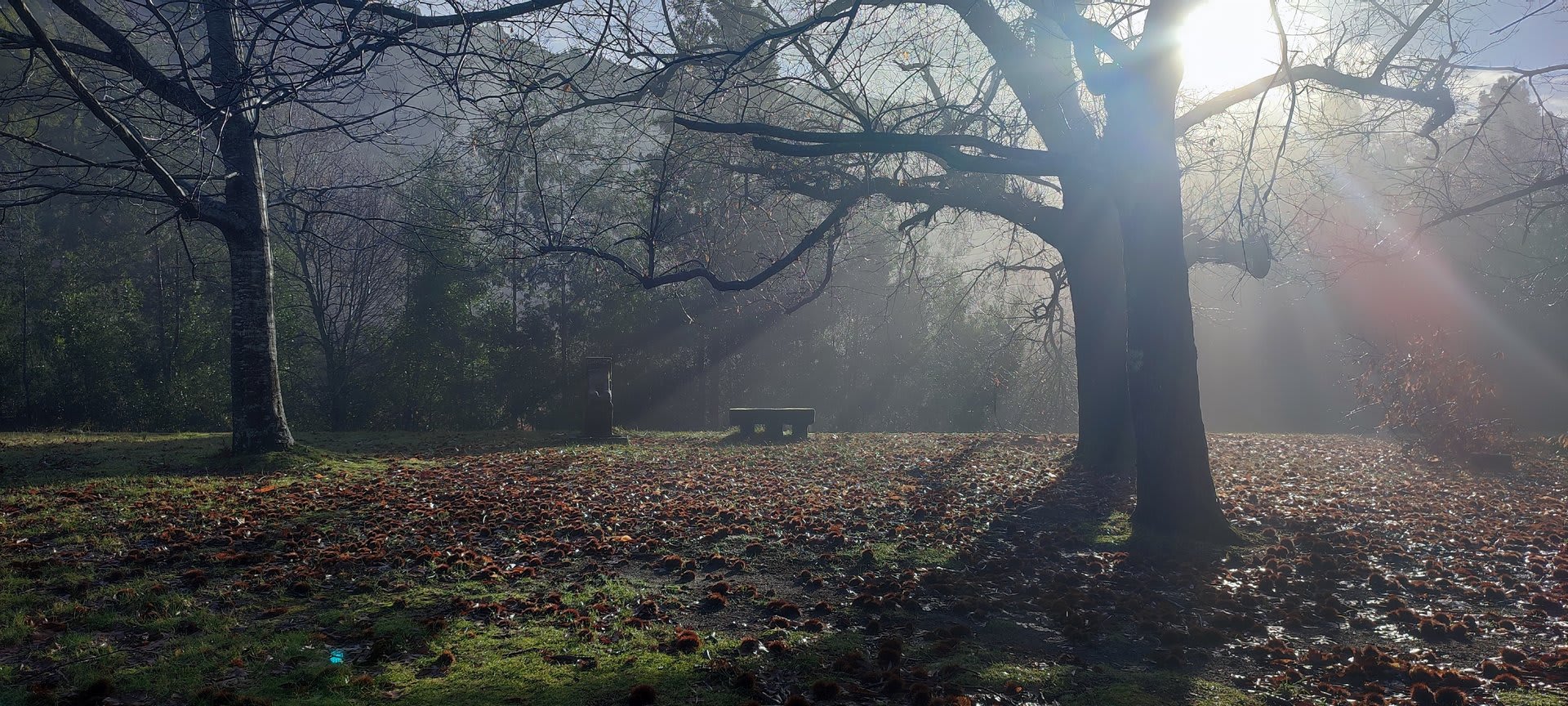 Foto 4 da atividade Galeria de Fotos