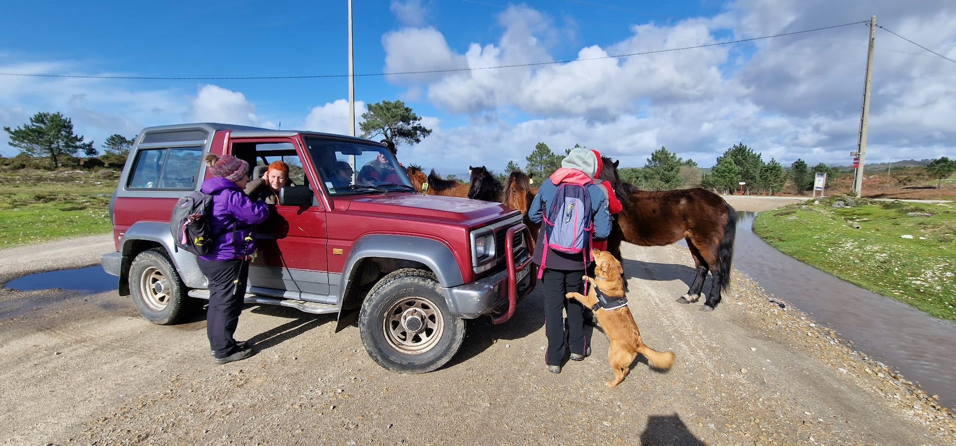 Foto 115 da atividade Galeria de Fotos