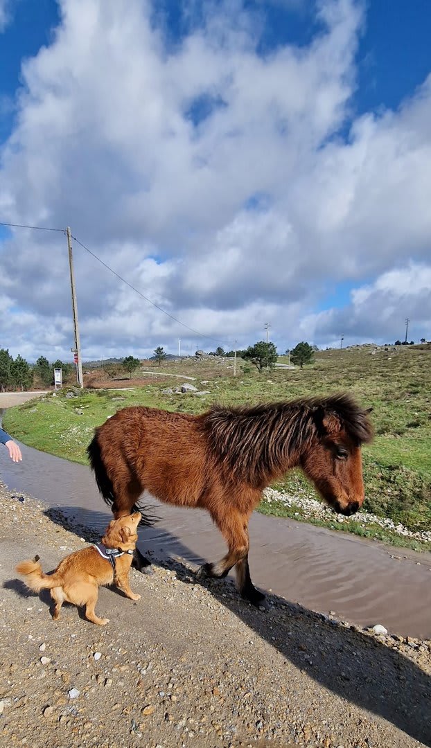 Foto 114 da atividade Galeria de Fotos