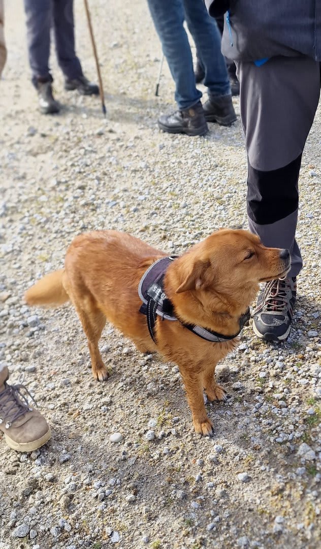 Foto 109 da atividade Galeria de Fotos