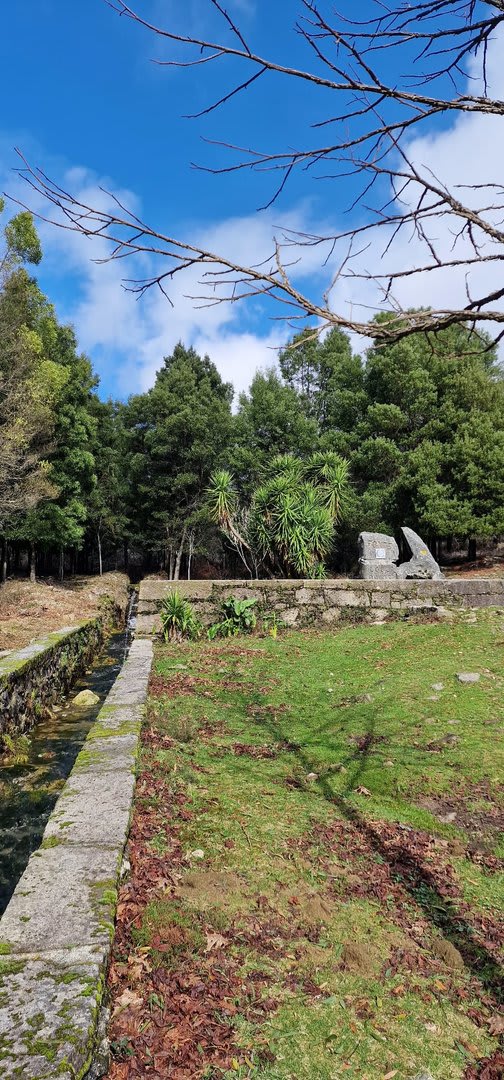 Foto 107 da atividade Galeria de Fotos