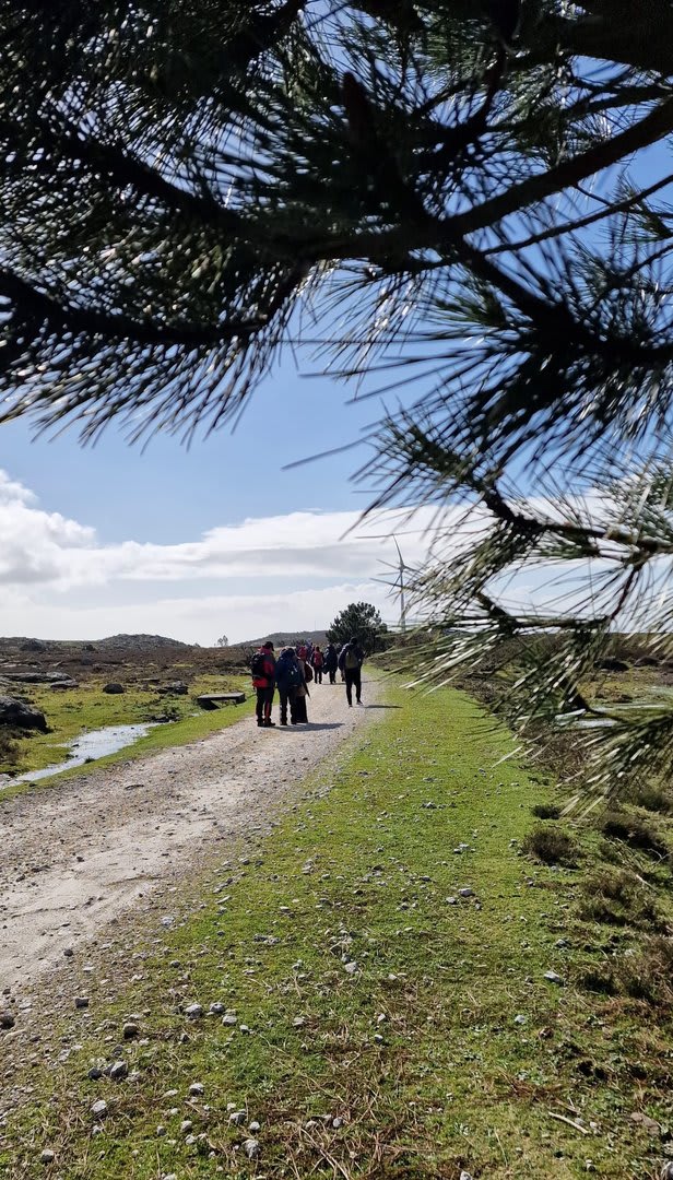 Foto 102 da atividade Galeria de Fotos