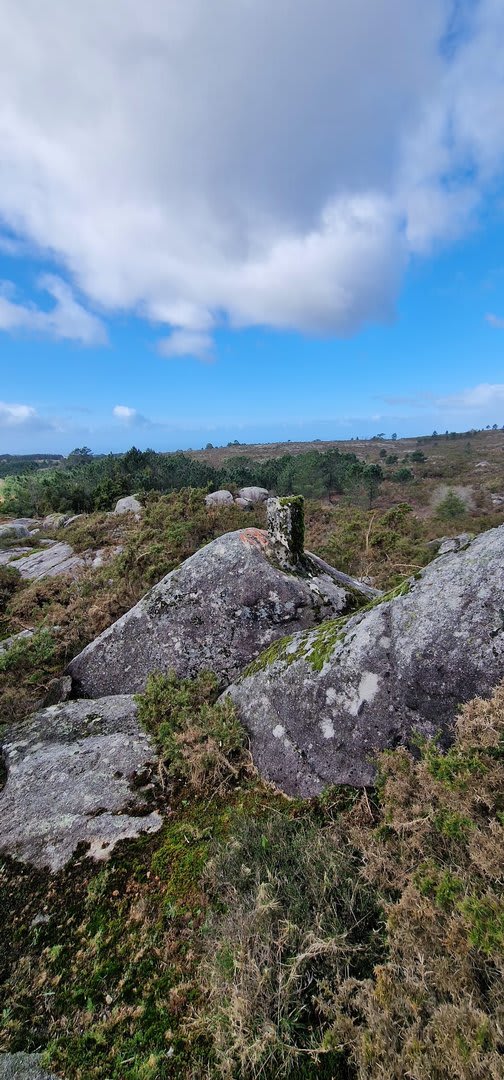 Foto 99 da atividade Galeria de Fotos