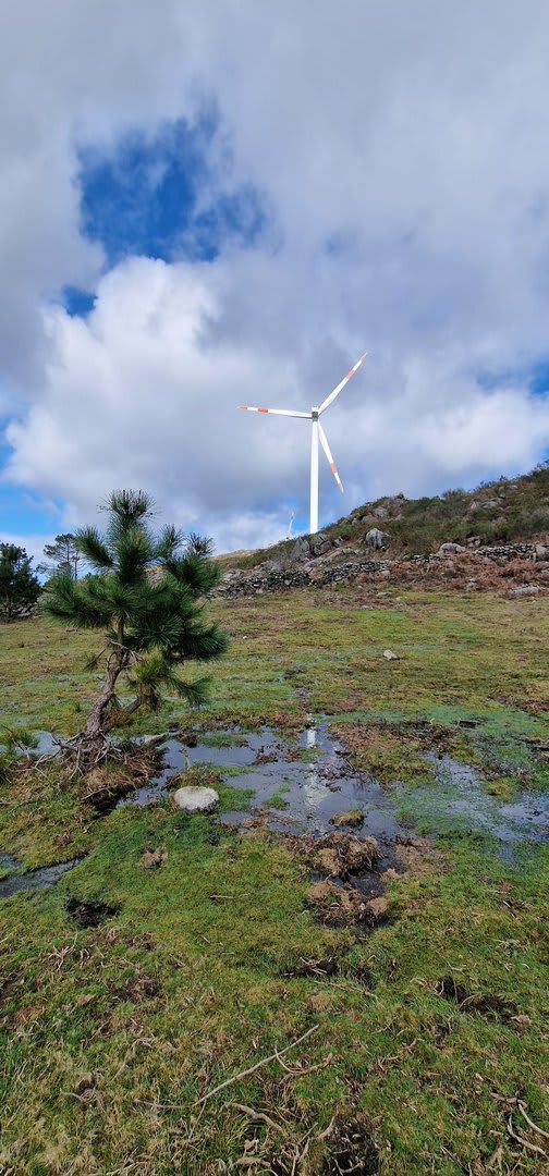 Foto 98 da atividade Galeria de Fotos