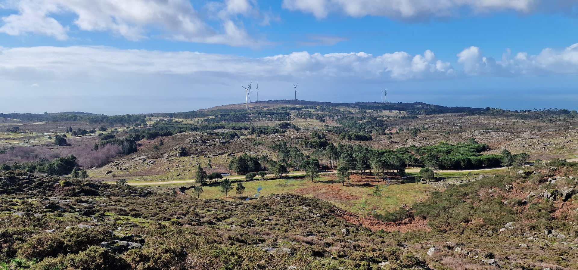 Foto 97 da atividade Galeria de Fotos