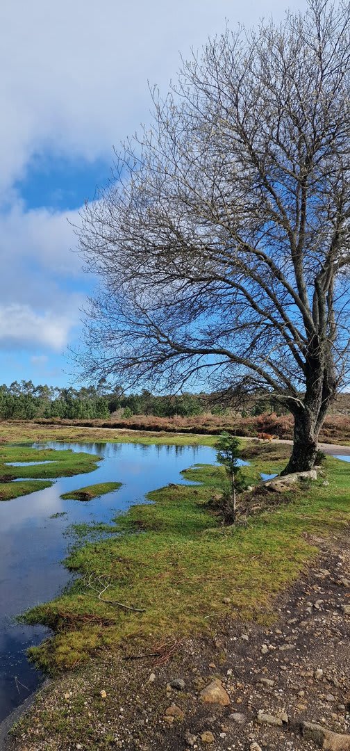 Foto 94 da atividade Galeria de Fotos