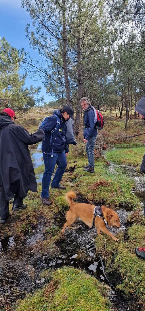 Foto 92 da atividade Galeria de Fotos