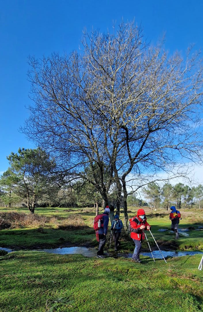 Foto 88 da atividade Galeria de Fotos