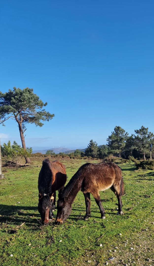 Foto 87 da atividade Galeria de Fotos