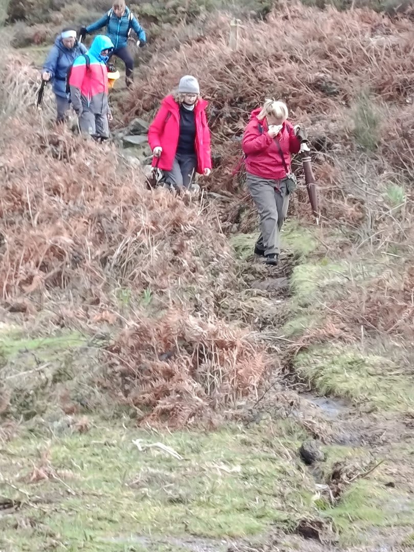 Foto 82 da atividade Galeria de Fotos