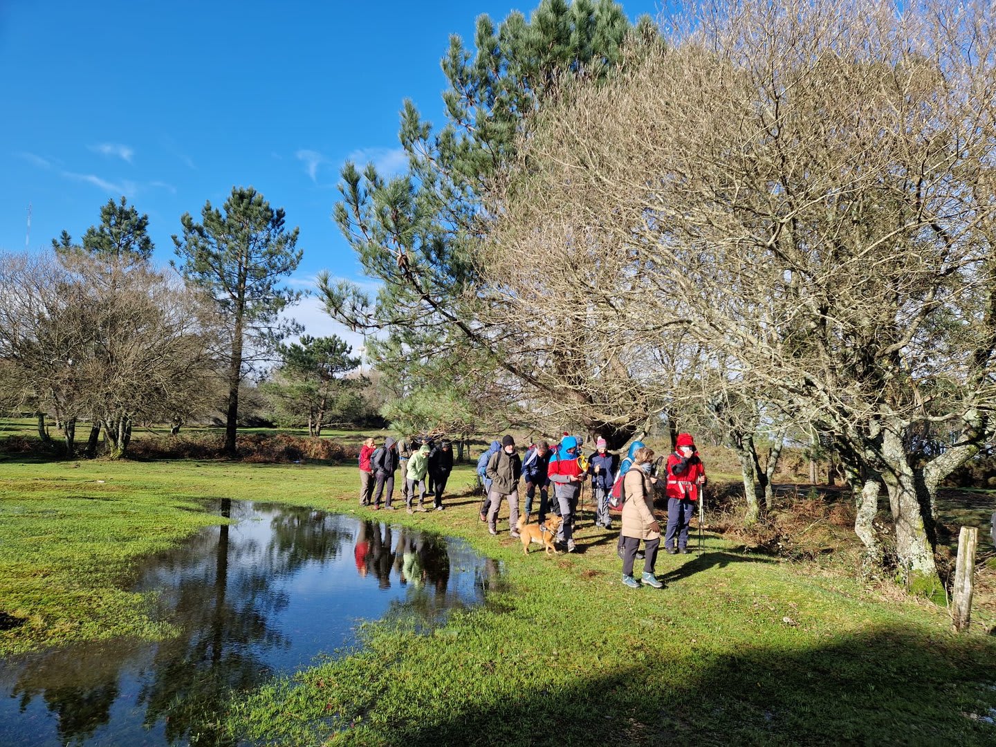 Foto 74 da atividade Galeria de Fotos