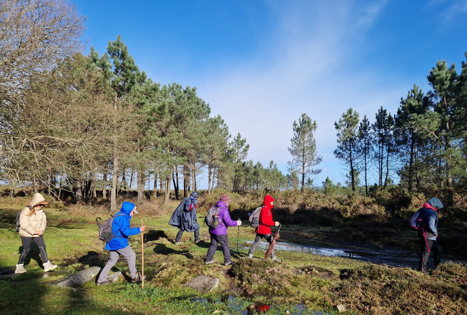 Foto 73 da atividade Galeria de Fotos