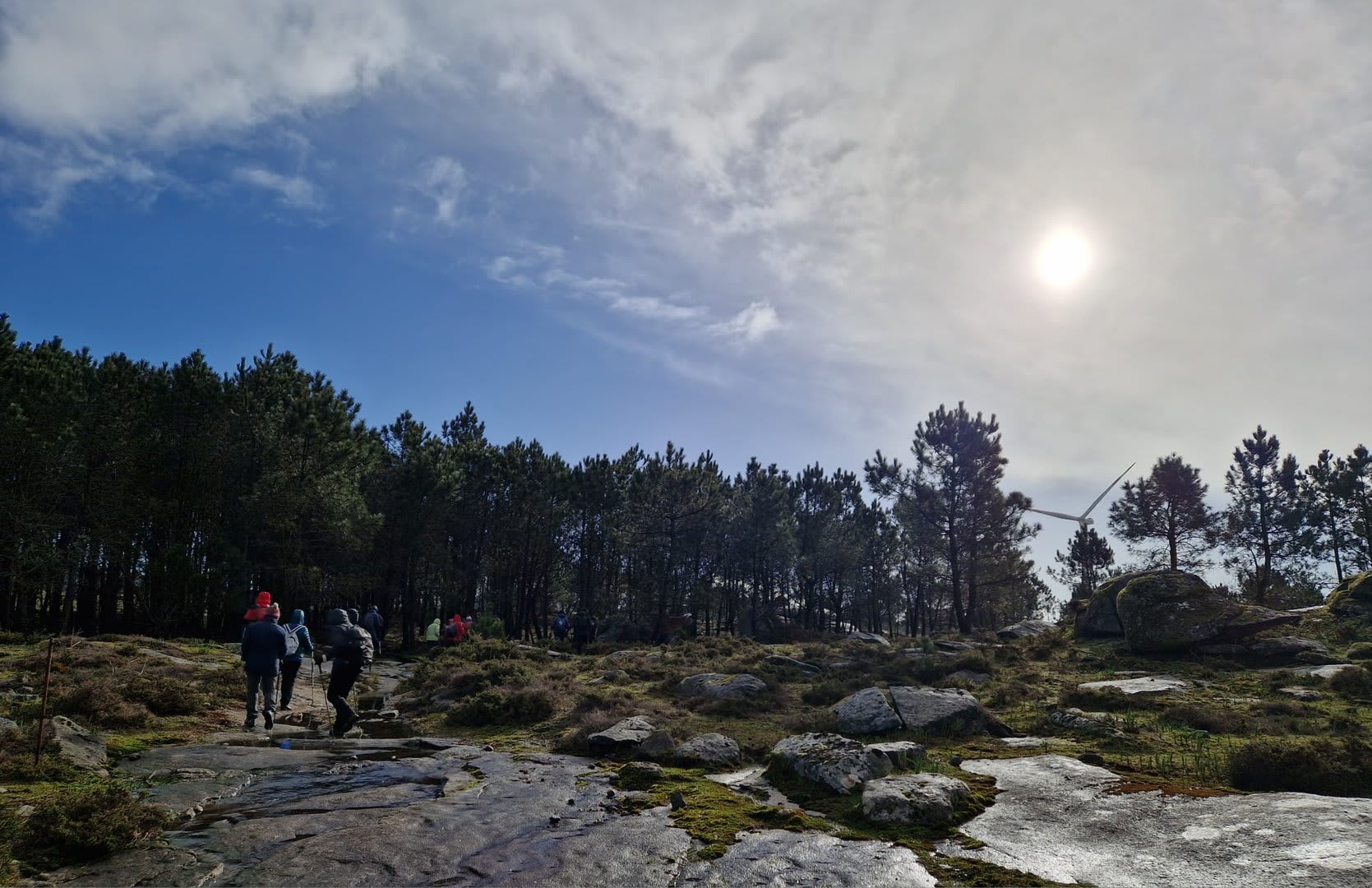 Foto 72 da atividade Galeria de Fotos