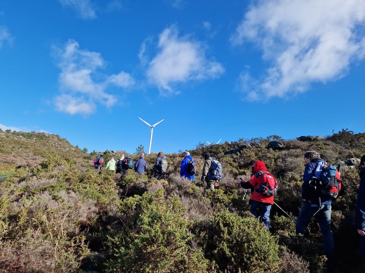 Foto 60 da atividade Galeria de Fotos