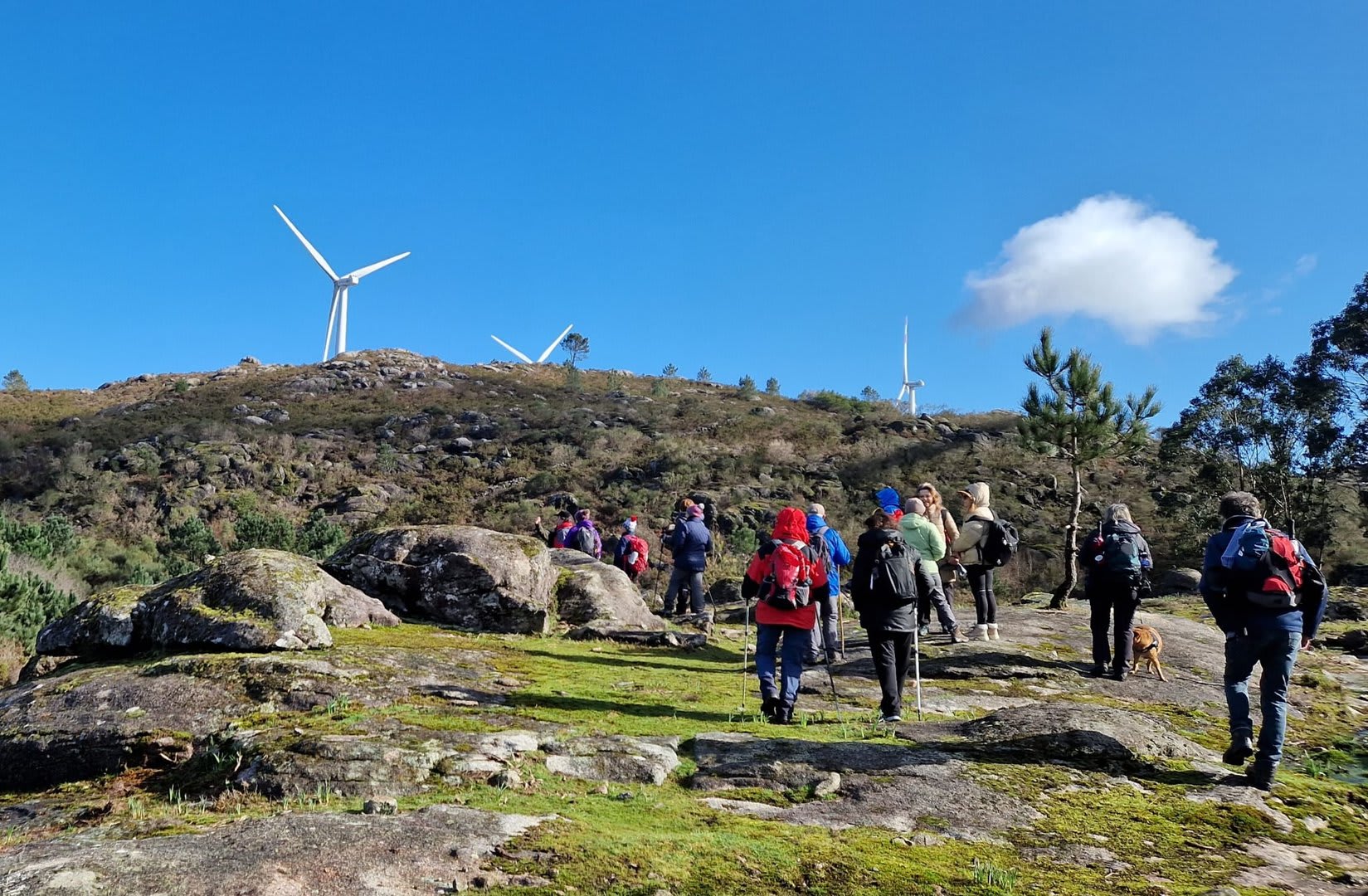 Foto 58 da atividade Galeria de Fotos