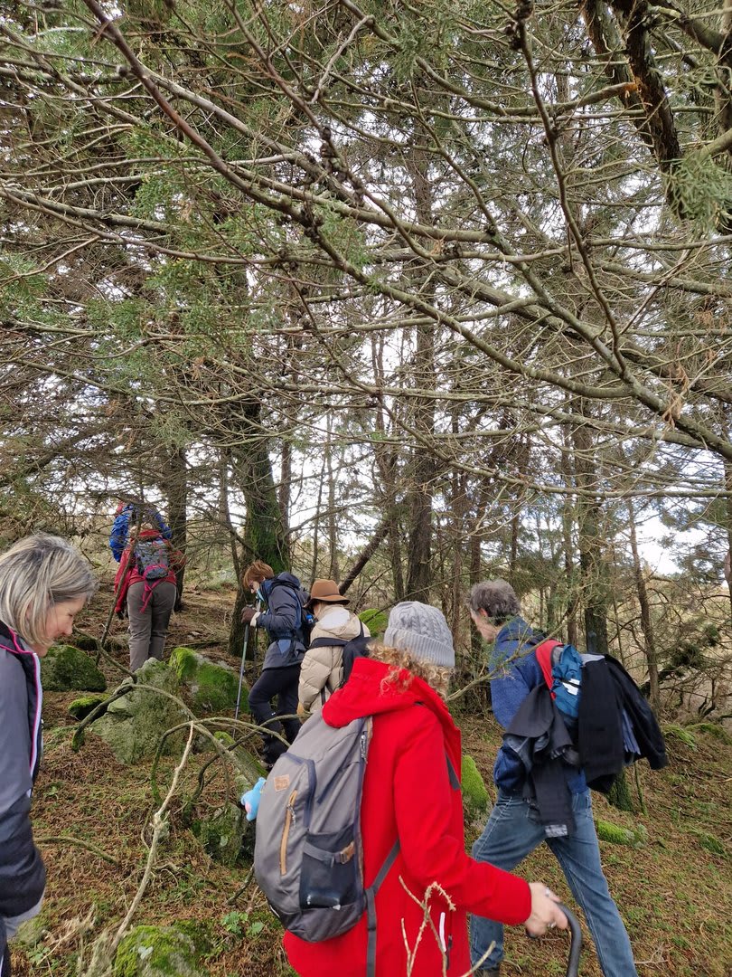 Foto 44 da atividade Galeria de Fotos