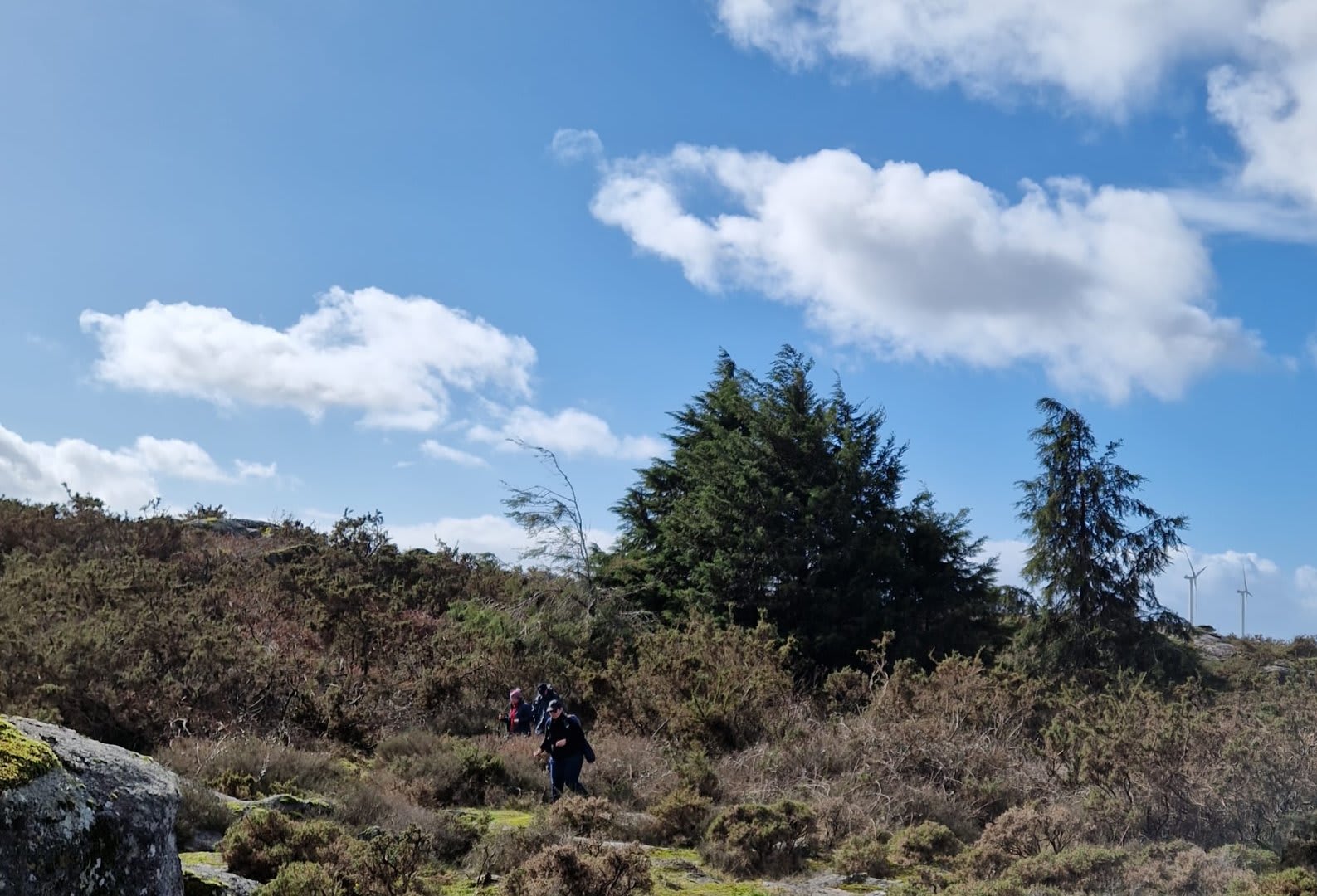 Foto 43 da atividade Galeria de Fotos