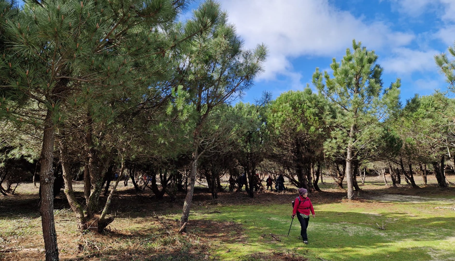 Foto 42 da atividade Galeria de Fotos