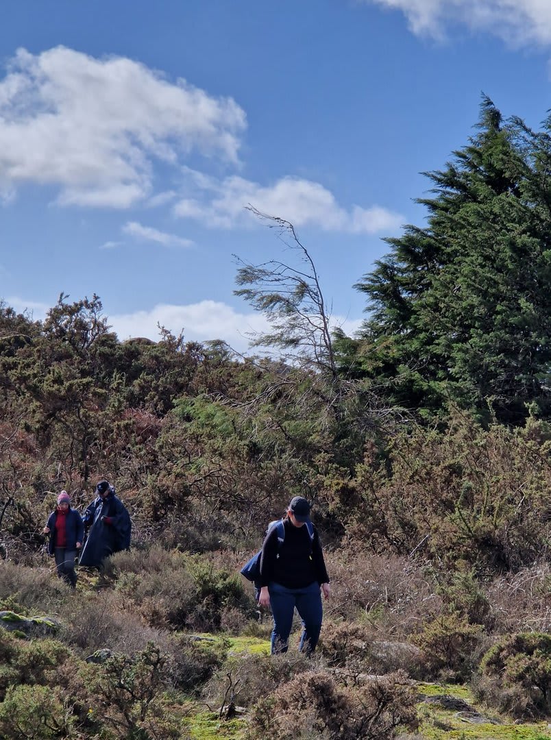 Foto 41 da atividade Galeria de Fotos