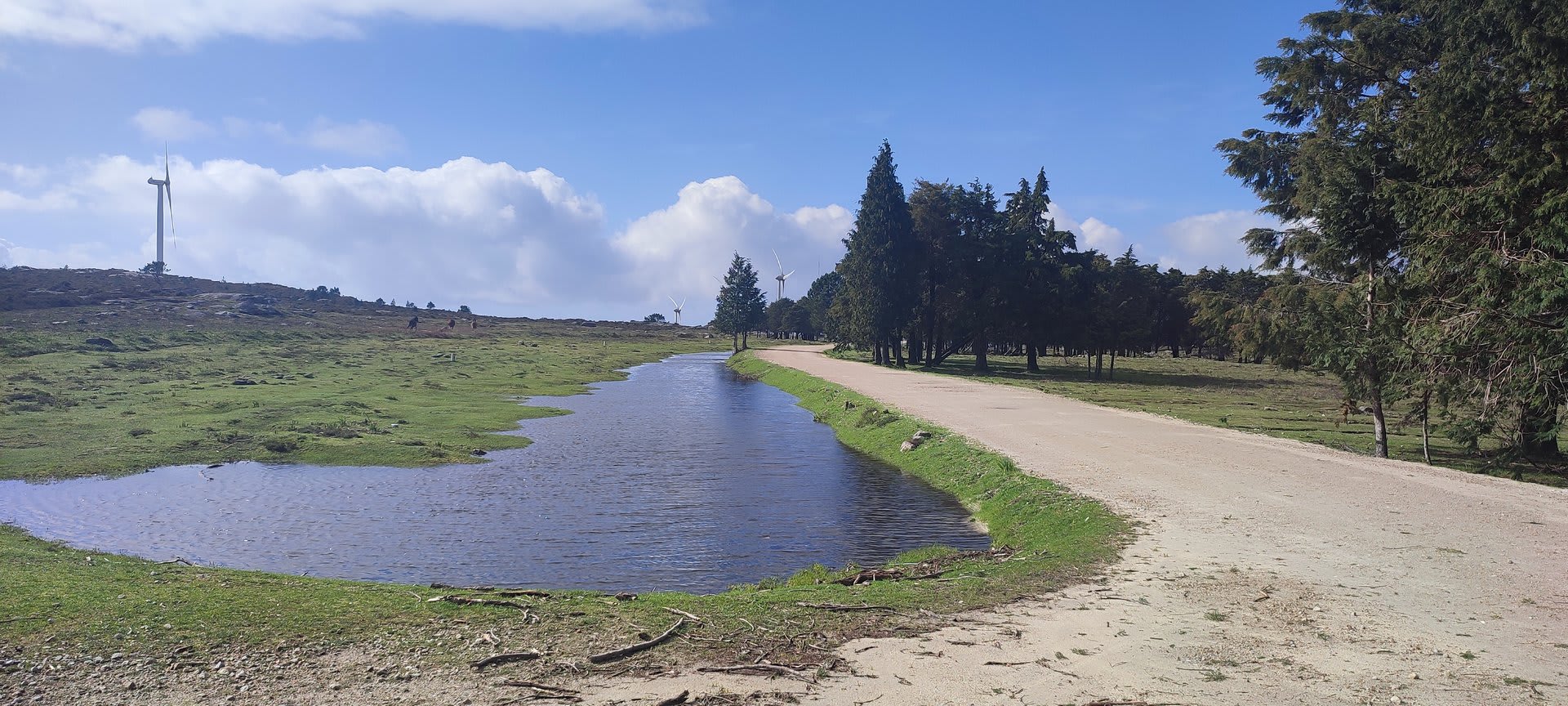 Foto 32 da atividade Galeria de Fotos