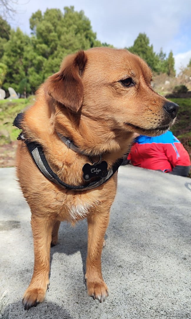 Foto 30 da atividade Galeria de Fotos