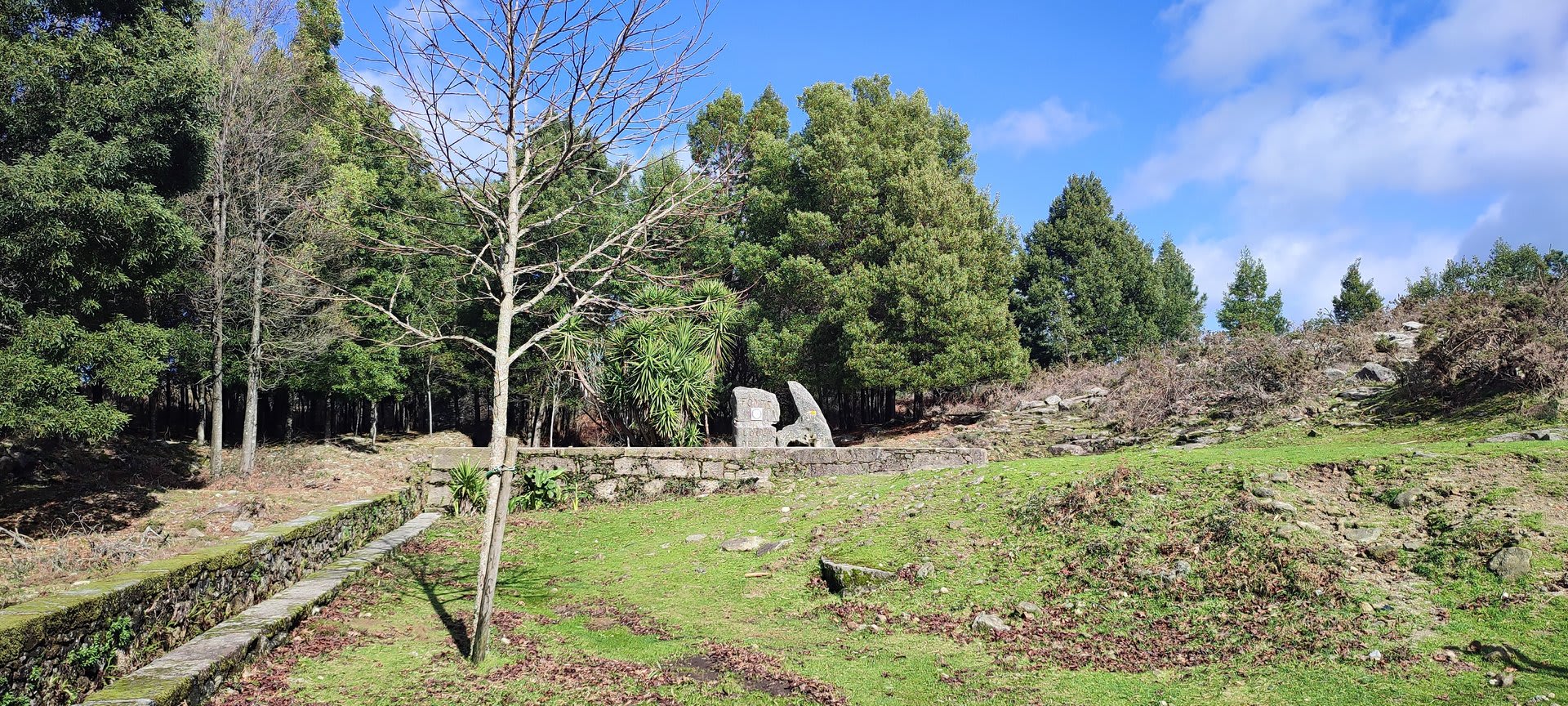 Foto 29 da atividade Galeria de Fotos