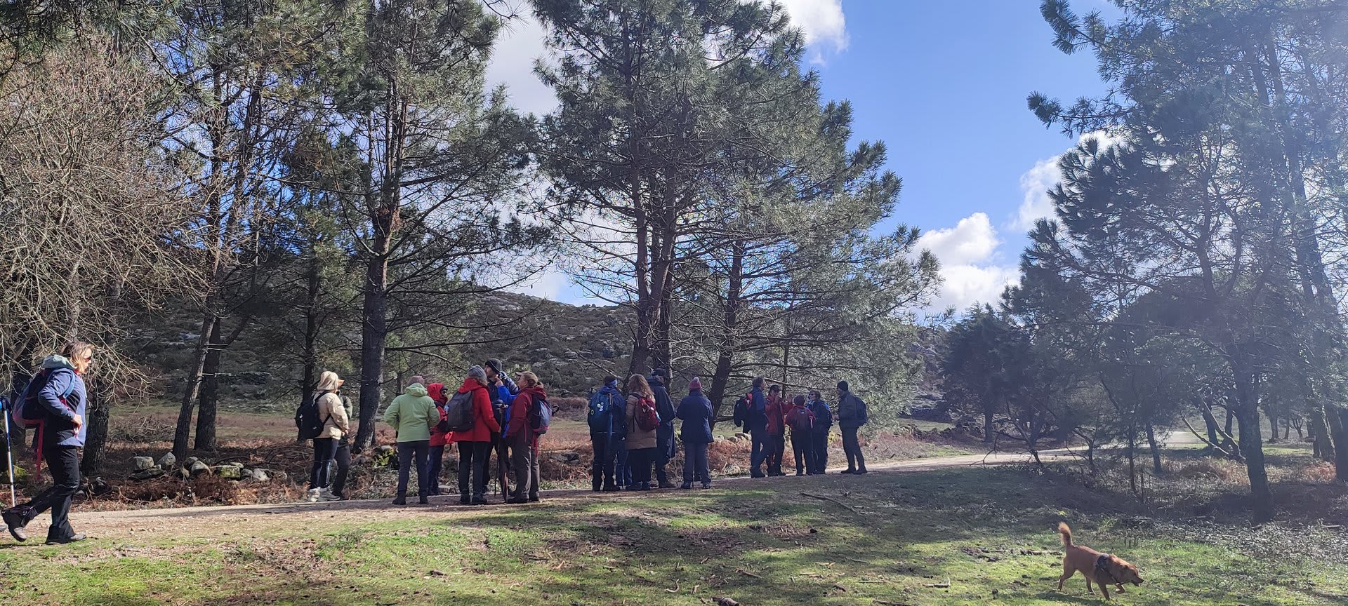 Foto 27 da atividade Galeria de Fotos