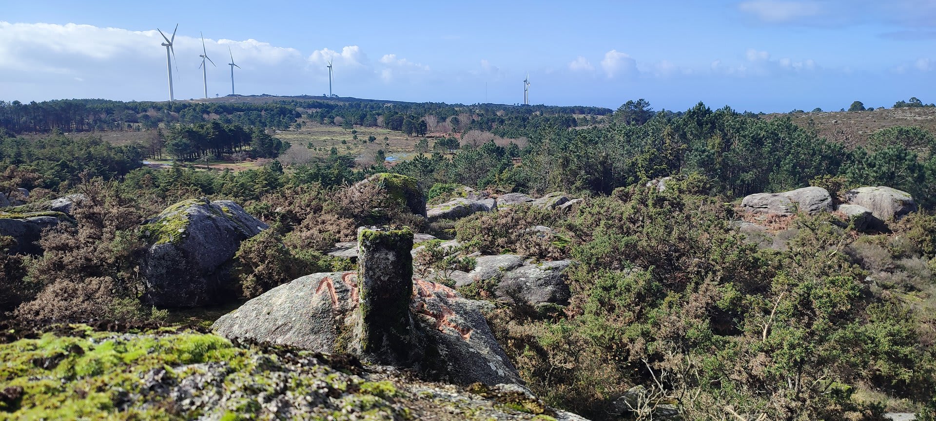 Foto 26 da atividade Galeria de Fotos