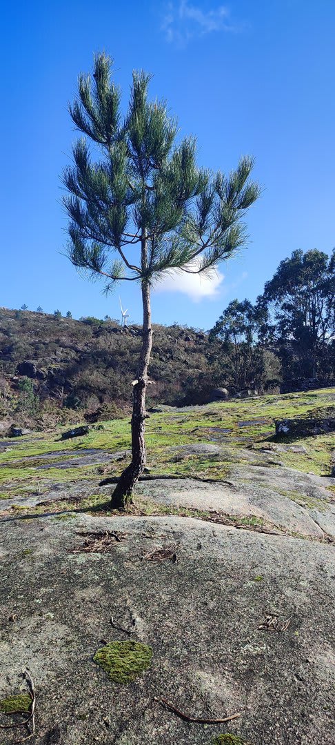 Foto 11 da atividade Galeria de Fotos