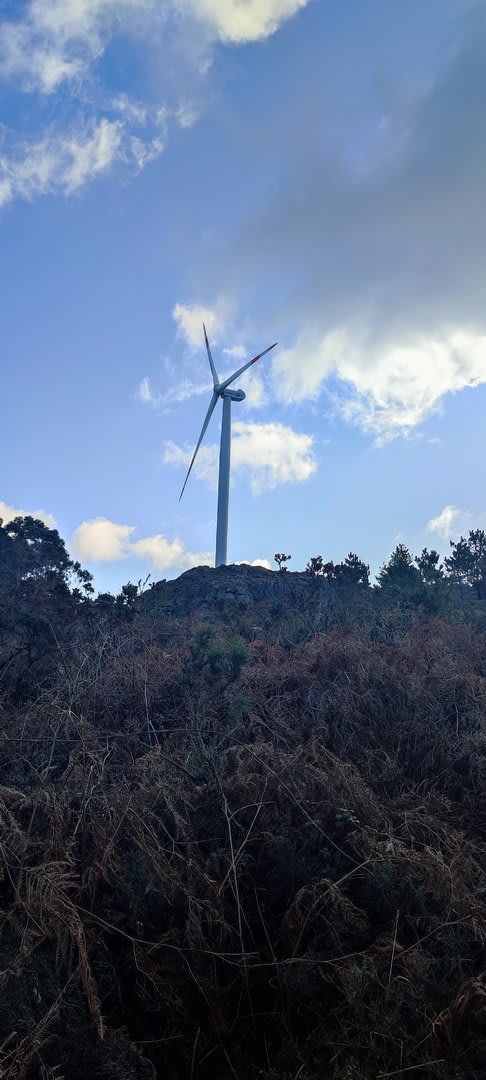 Foto 10 da atividade Galeria de Fotos