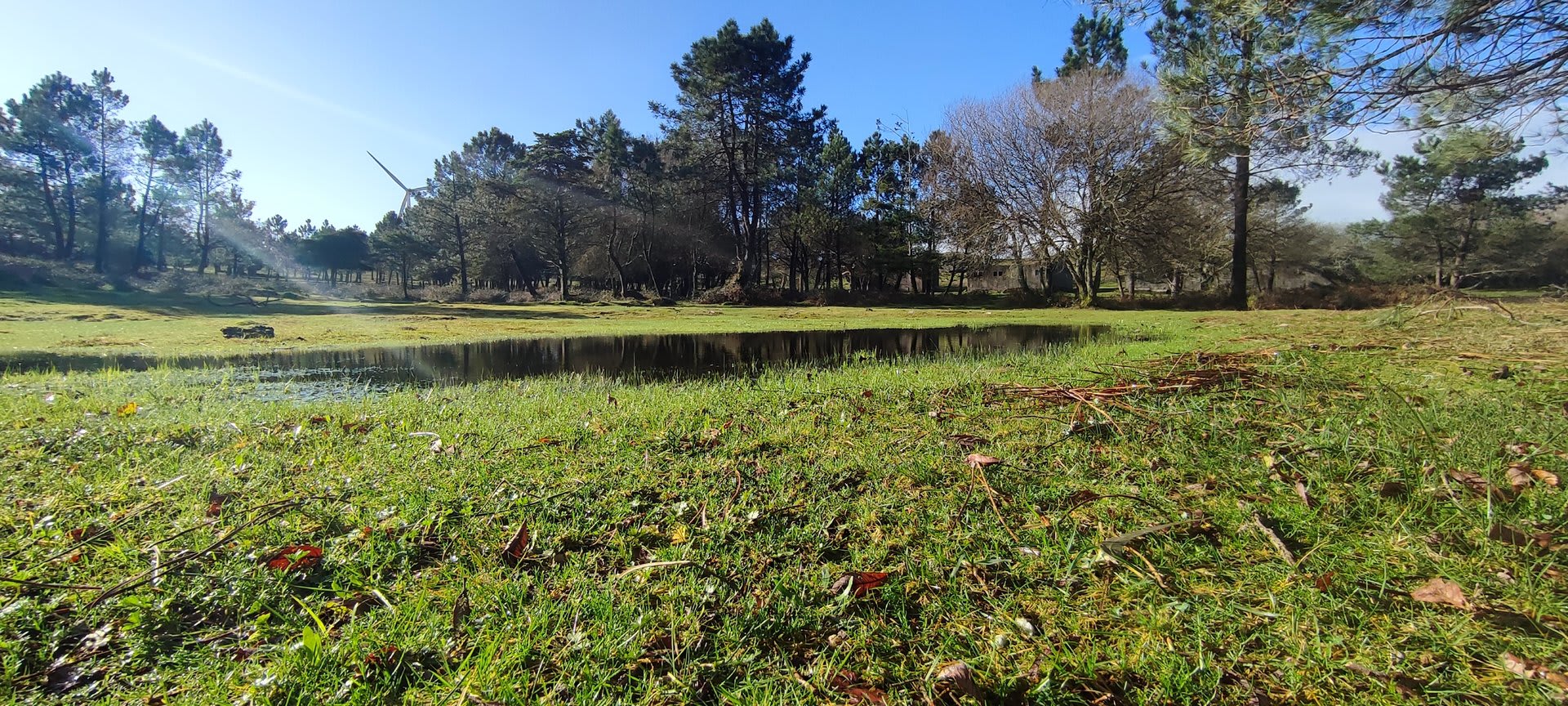 Foto 5 da atividade Galeria de Fotos