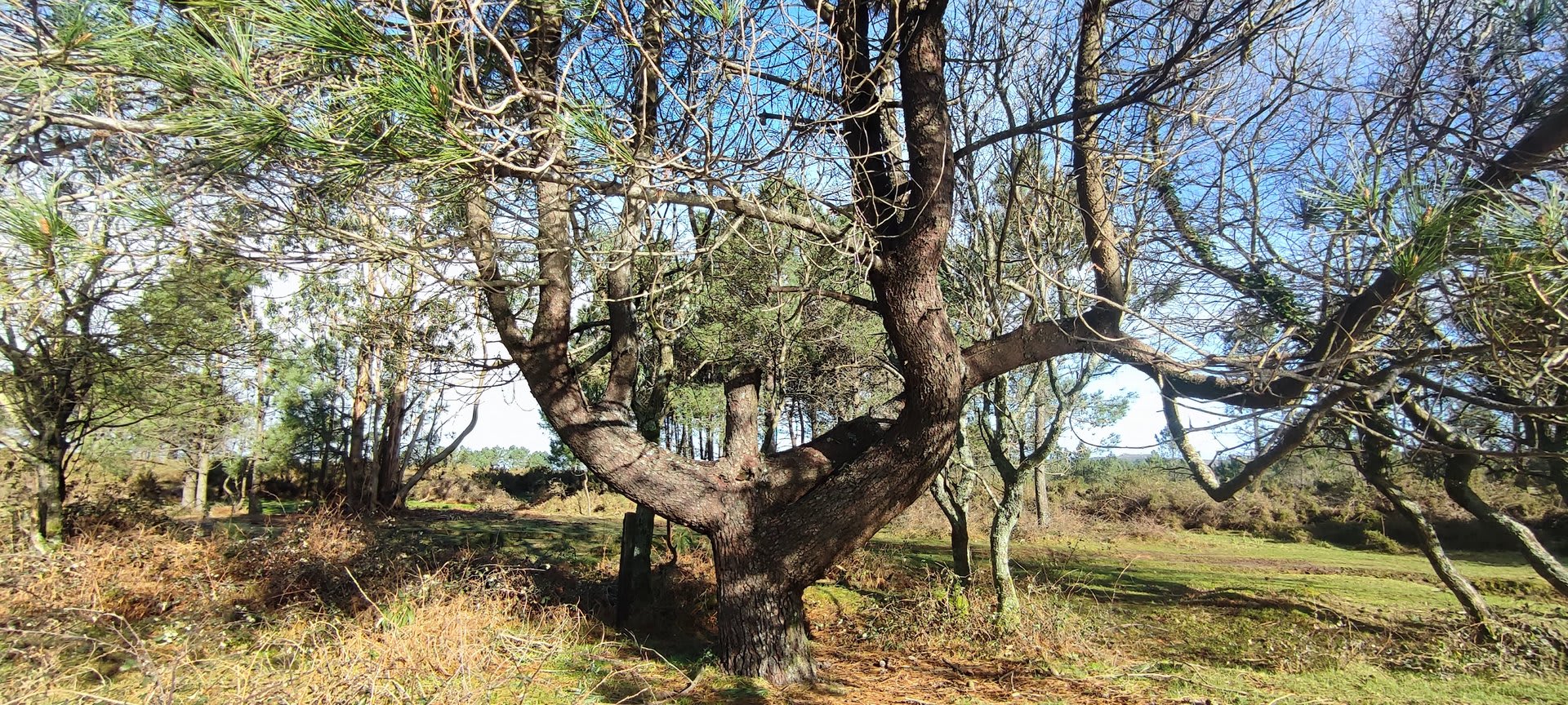 Foto 4 da atividade Galeria de Fotos