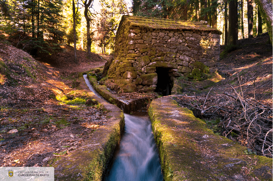 Trilho Levada de Víbora e Moinhos de Rei