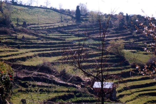 Foto 7 da atividade Galeria de Fotos