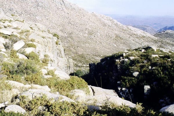 Foto 8 da atividade Galeria de Fotos