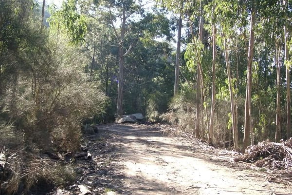 Foto 43 da atividade Galeria de Fotos