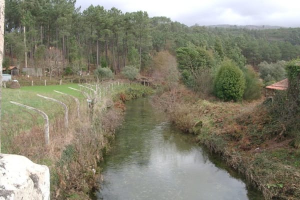 Foto 31 da atividade Galeria de Fotos