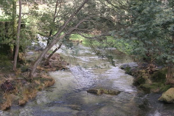 Foto 28 da atividade Galeria de Fotos