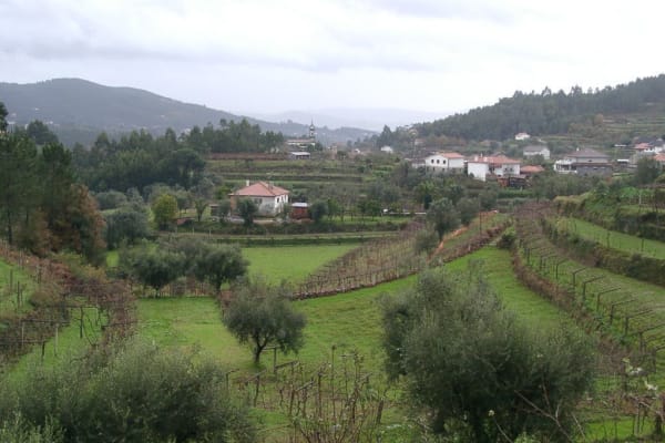 Foto 27 da atividade Galeria de Fotos