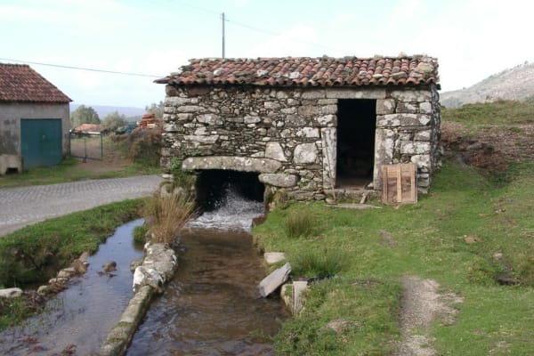 Foto 4 da atividade Galeria de Fotos